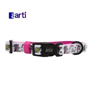 Disney Collar para perro Minnie Mouse y Daisy Duck M
