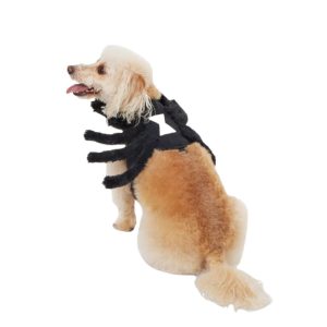 Disfraz de Araña para Perro Talla S