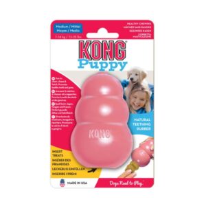 Kong Puppy M